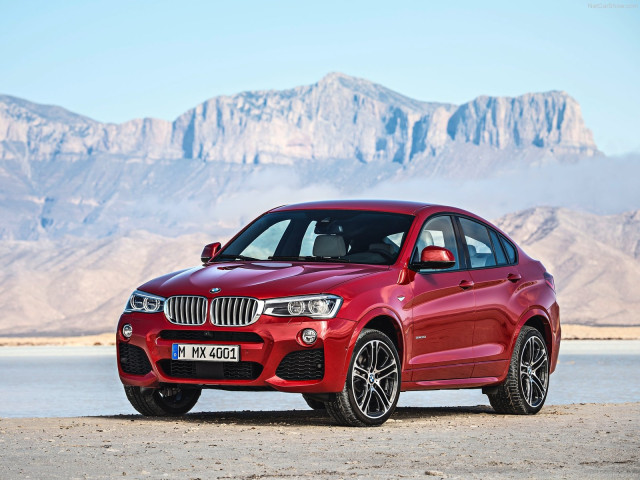 bmw x4 pic #111514