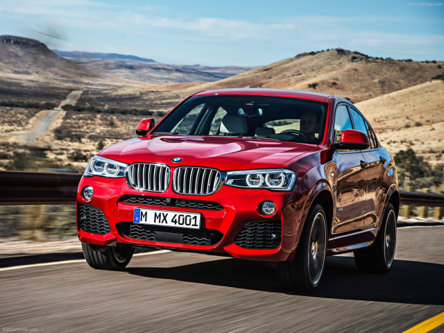 bmw x4 pic #111515