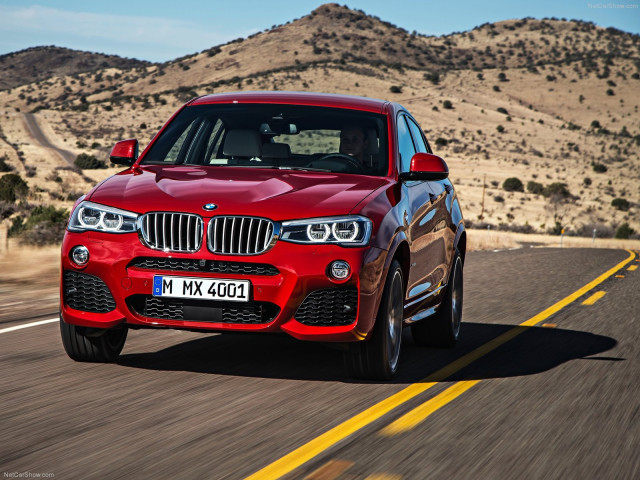 bmw x4 pic #111516