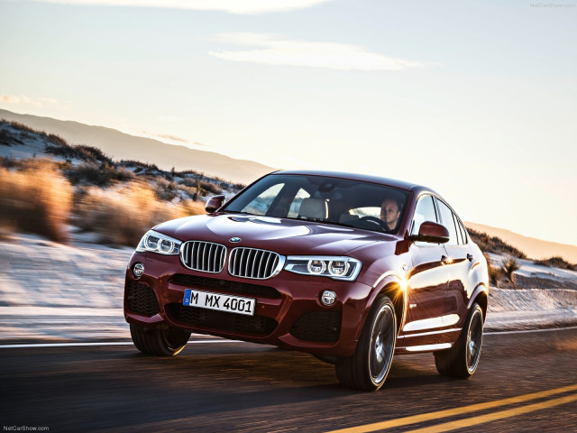 bmw x4 pic #111517