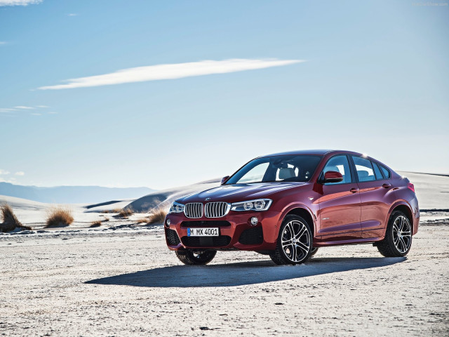 bmw x4 pic #111518