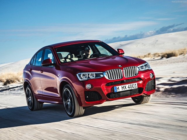 bmw x4 pic #111519