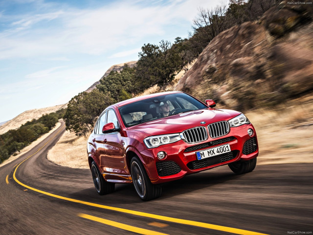 bmw x4 pic #111521