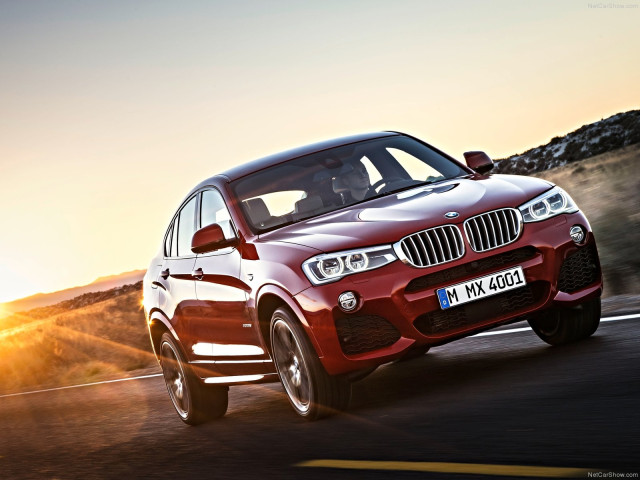 bmw x4 pic #111522