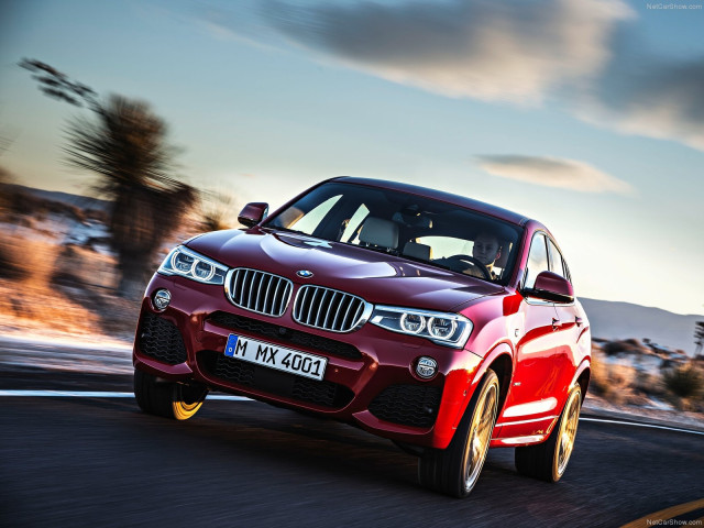 bmw x4 pic #111523