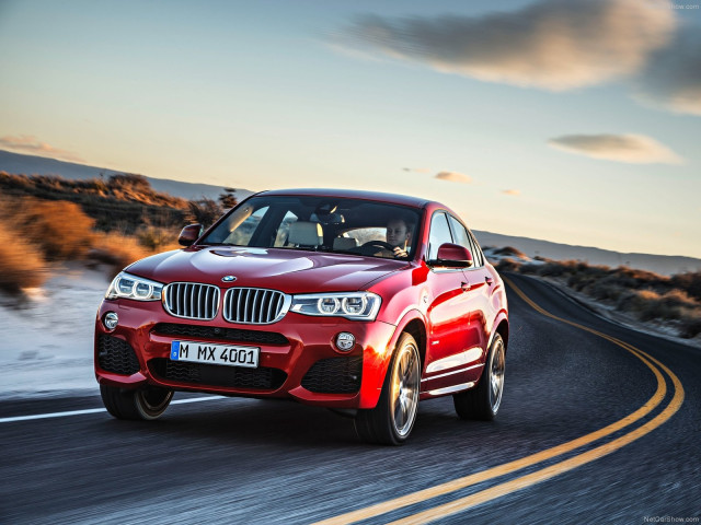 bmw x4 pic #111524