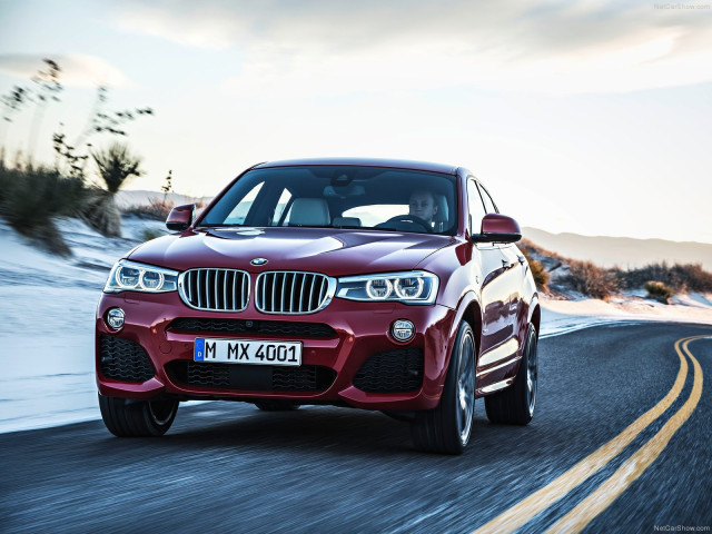 bmw x4 pic #111525