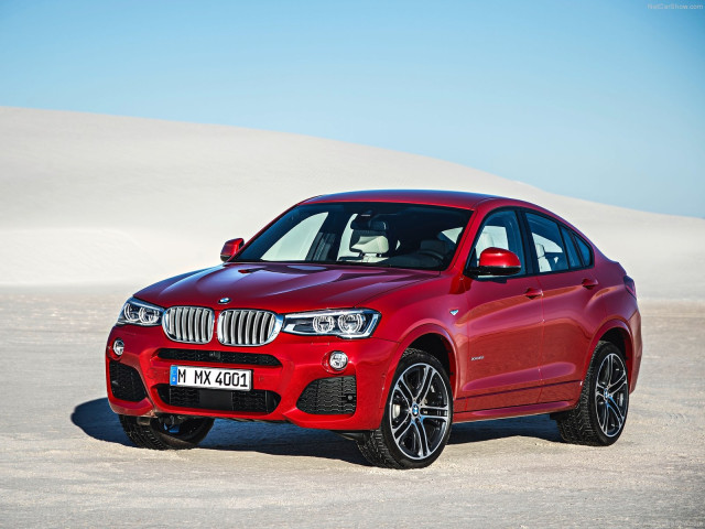 bmw x4 pic #111526