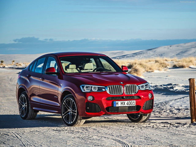 bmw x4 pic #111527