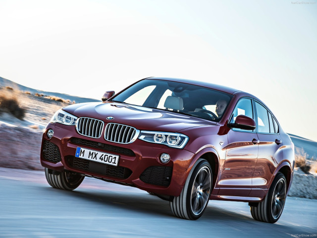 bmw x4 pic #111528