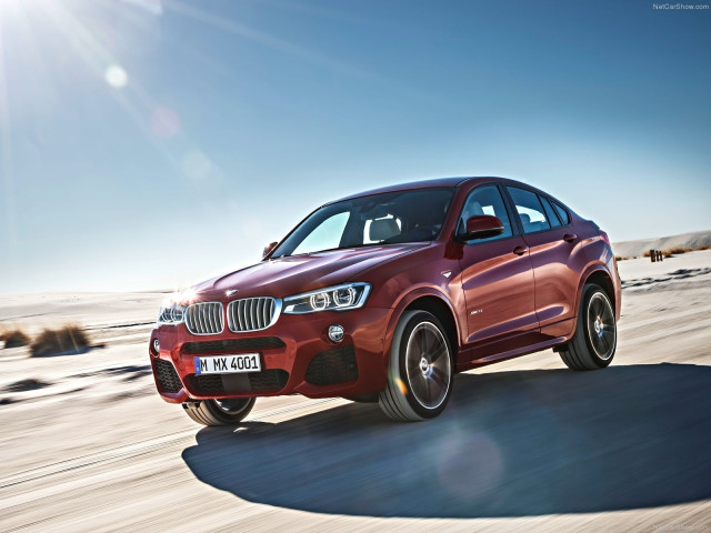 bmw x4 pic #111529