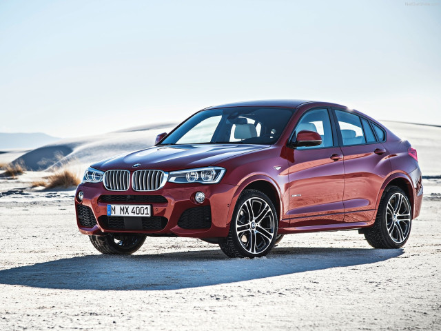 bmw x4 pic #111530