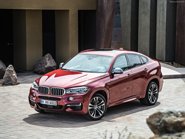 bmw x6 pic #120219