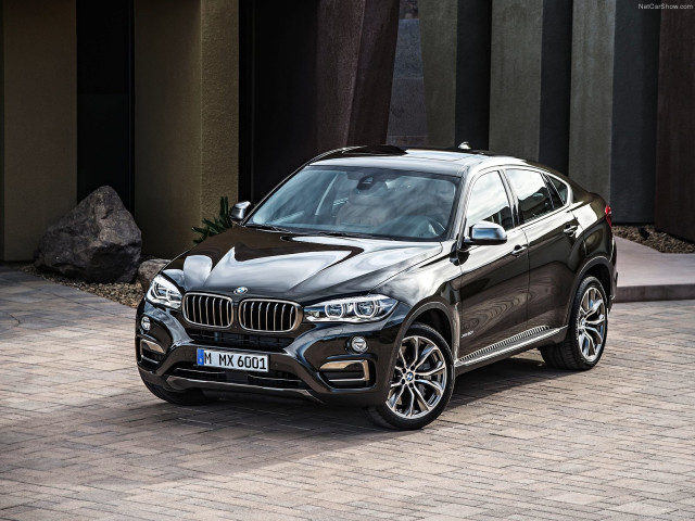 bmw x6 pic #120220