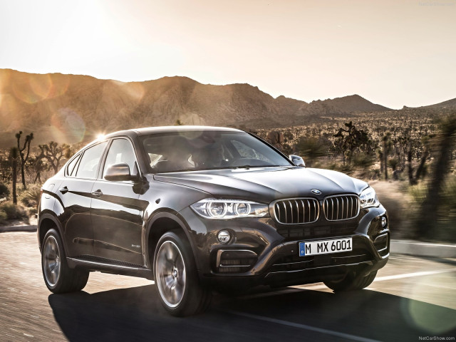 bmw x6 pic #120221