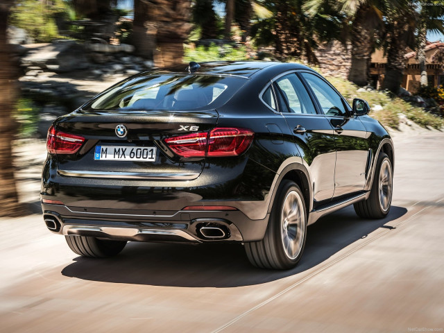 bmw x6 pic #120228