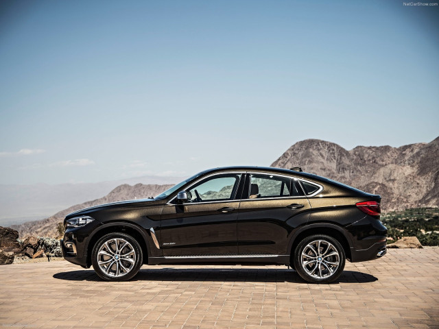 bmw x6 pic #120237