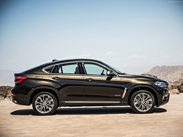 bmw x6 pic #120238