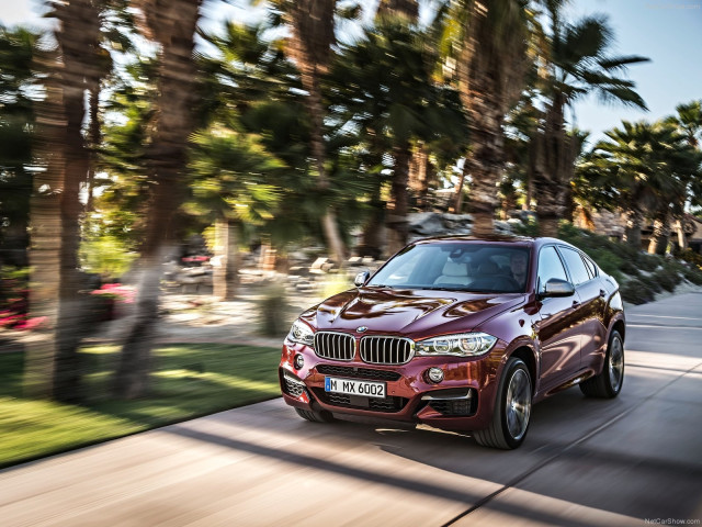 bmw x6 pic #120245