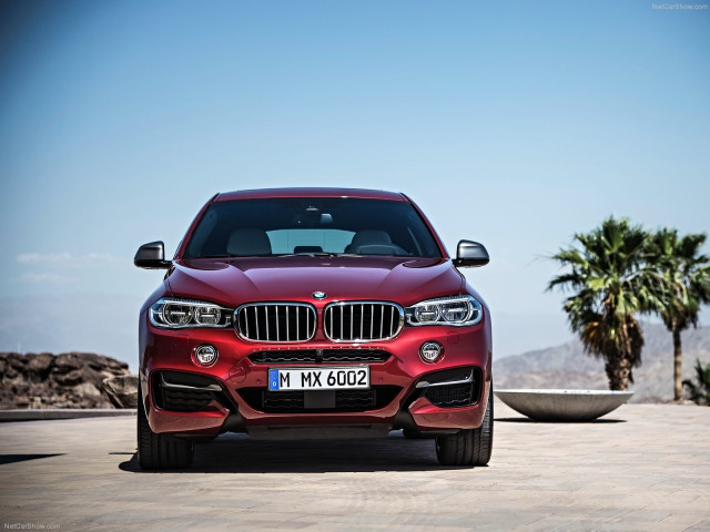 bmw x6 pic #120280