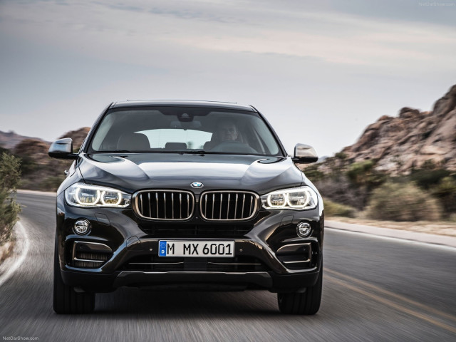 bmw x6 pic #120281