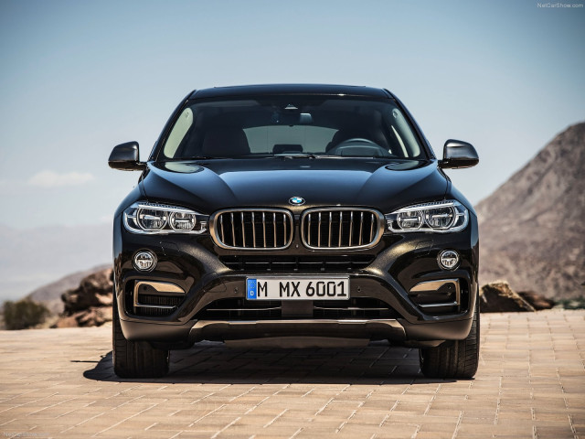 bmw x6 pic #120282