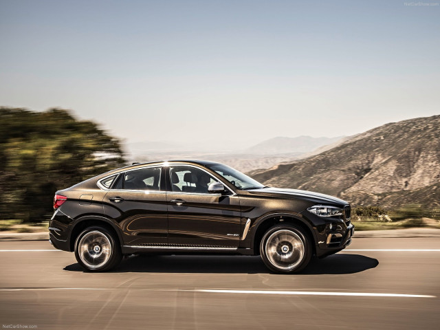 bmw x6 pic #120286