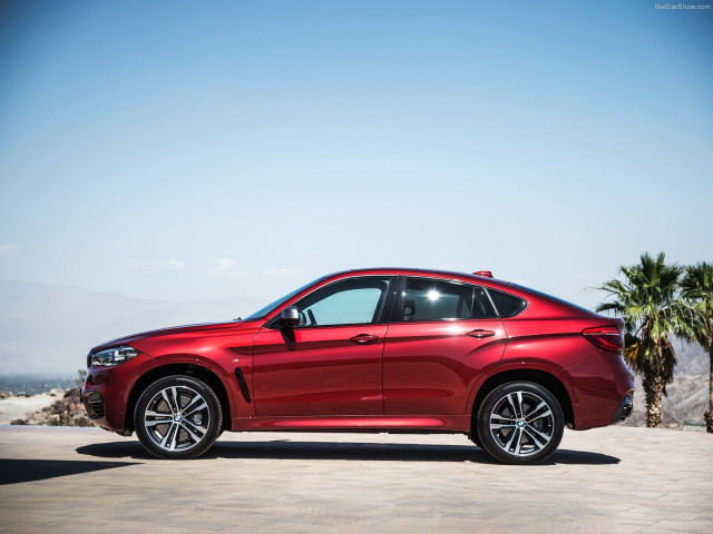 bmw x6 pic #120290