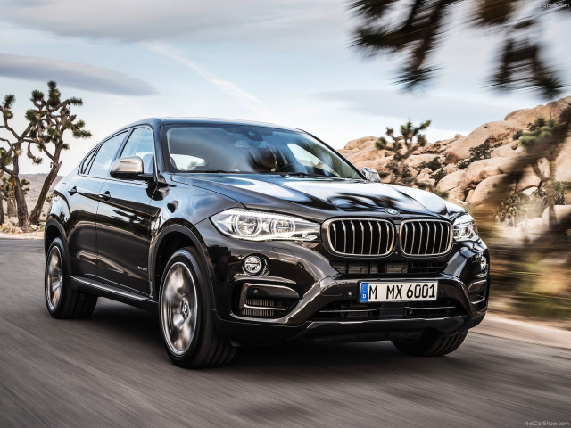 bmw x6 pic #120292