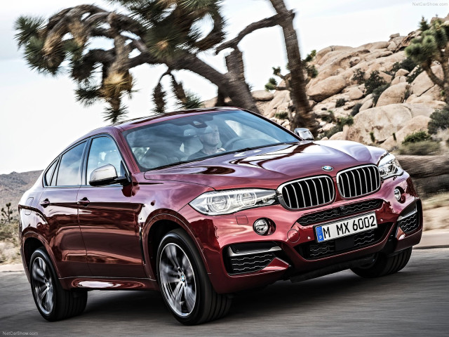 bmw x6 pic #120293