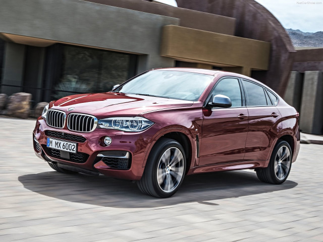 bmw x6 pic #120294