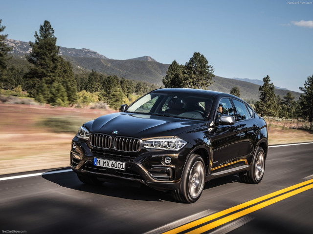 bmw x6 pic #120295