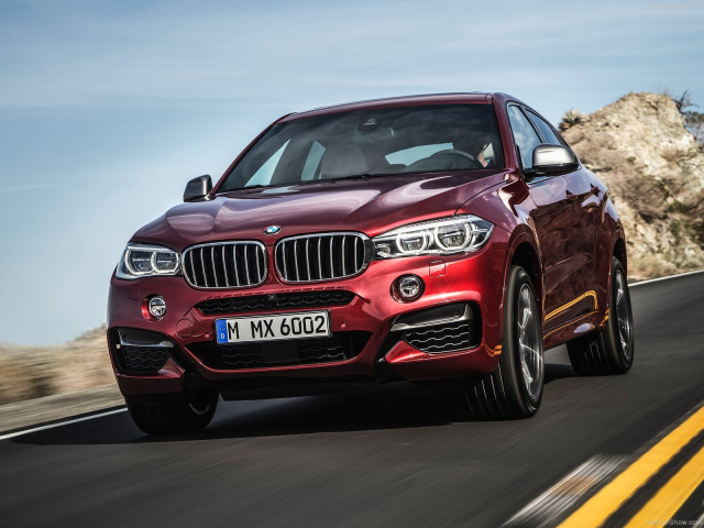 bmw x6 pic #120296