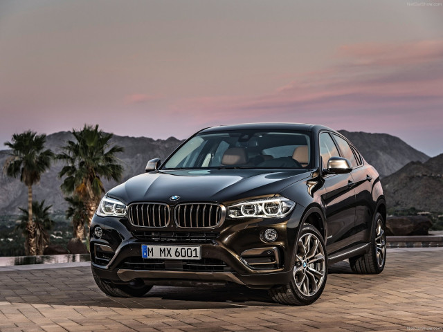 bmw x6 pic #120297