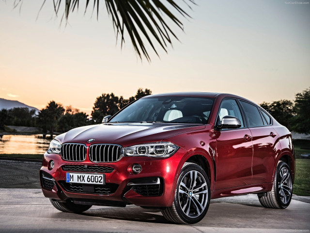 bmw x6 pic #120299