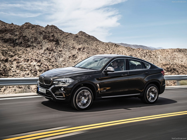 bmw x6 pic #120312