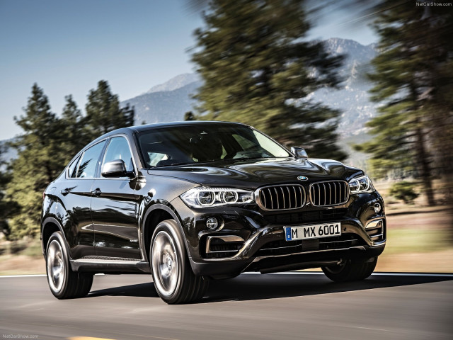 bmw x6 pic #120314