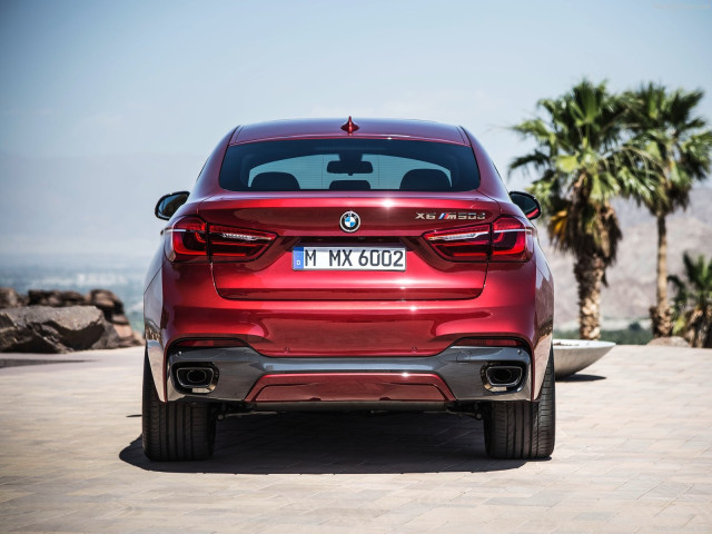 bmw x6 pic #120317