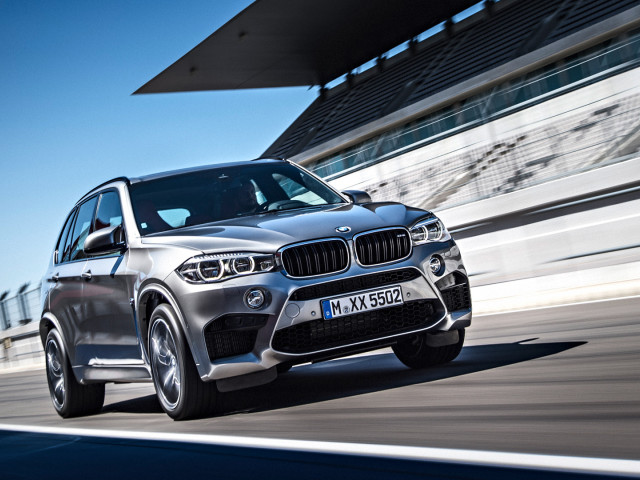 bmw x5 m pic #131994