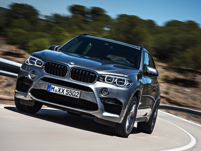 bmw x5 m pic #131996