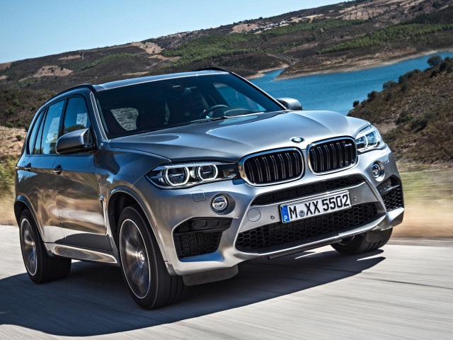 bmw x5 m pic #131998