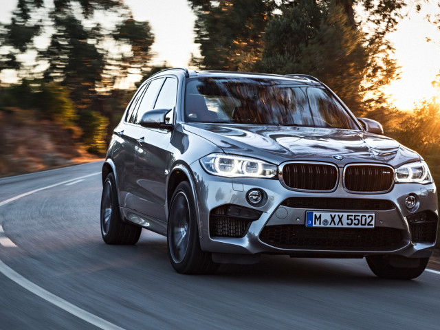 bmw x5 m pic #132011