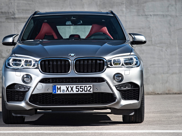 bmw x5 m pic #132019