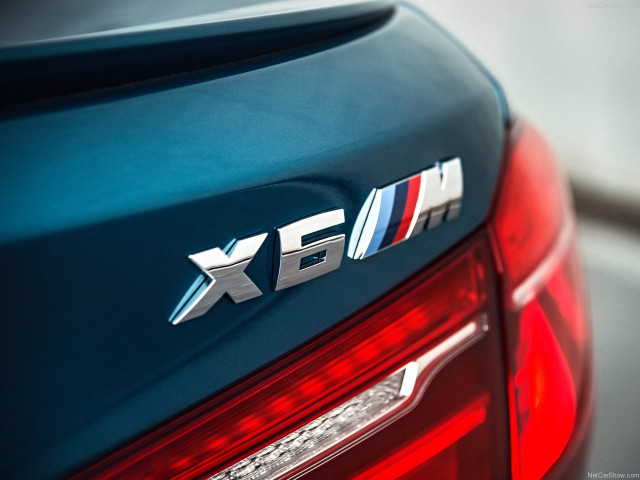 bmw x6 m pic #140279