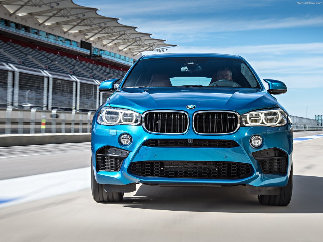 bmw x6 m pic #140325