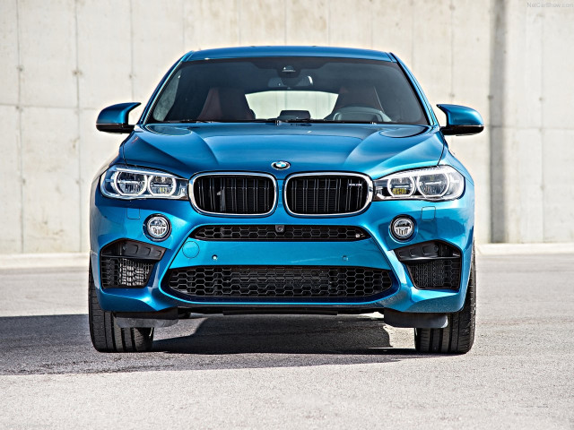 bmw x6 m pic #140326