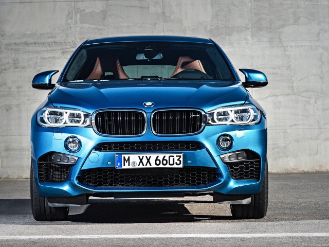 bmw x6 m pic #140327