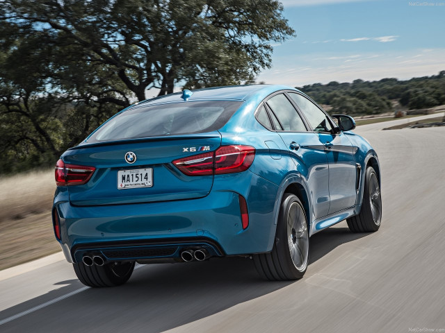 bmw x6 m pic #140329