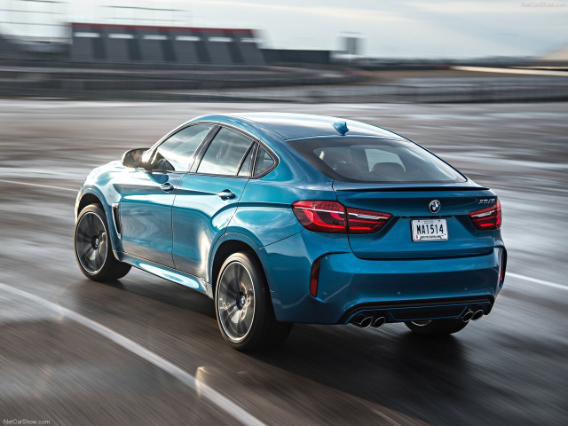 bmw x6 m pic #140336