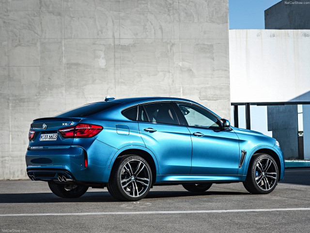 bmw x6 m pic #140346